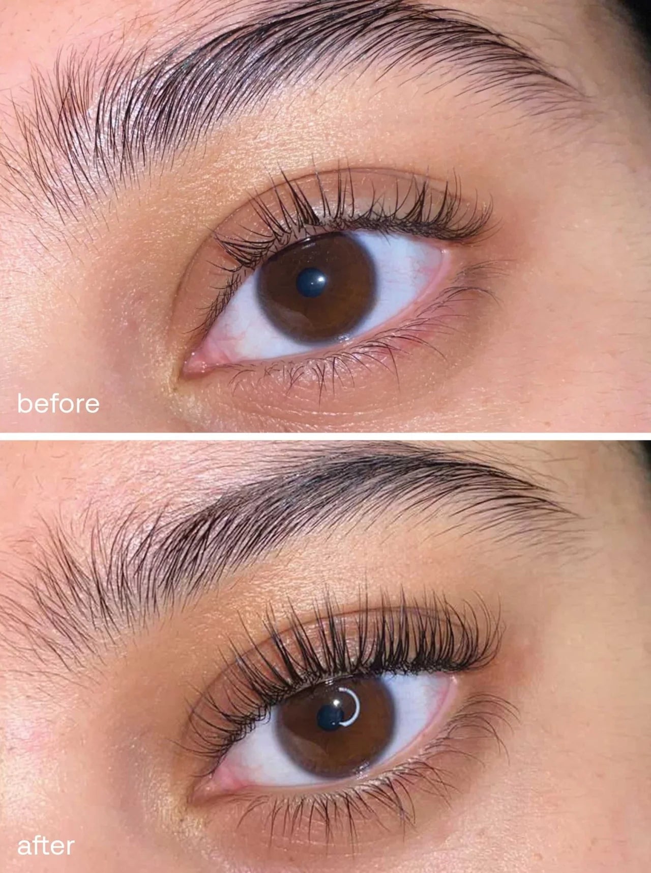 Lash Bloom Serum